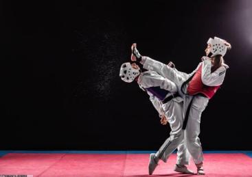 赛事承办专业服务